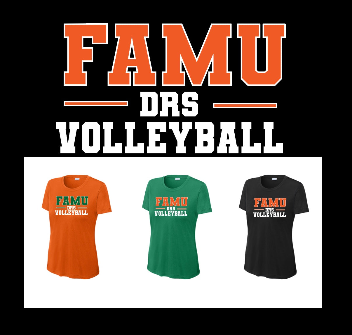 FAMU-DRS WOMENS VOLLEYBALL